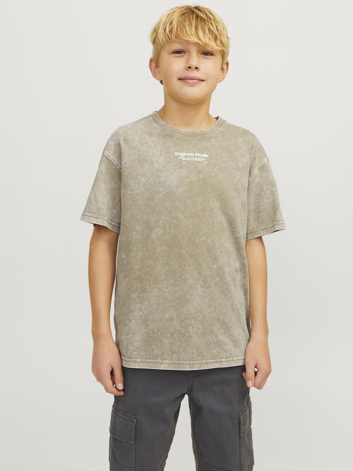 JORVESTERBRO T-Shirt - Silver Sage