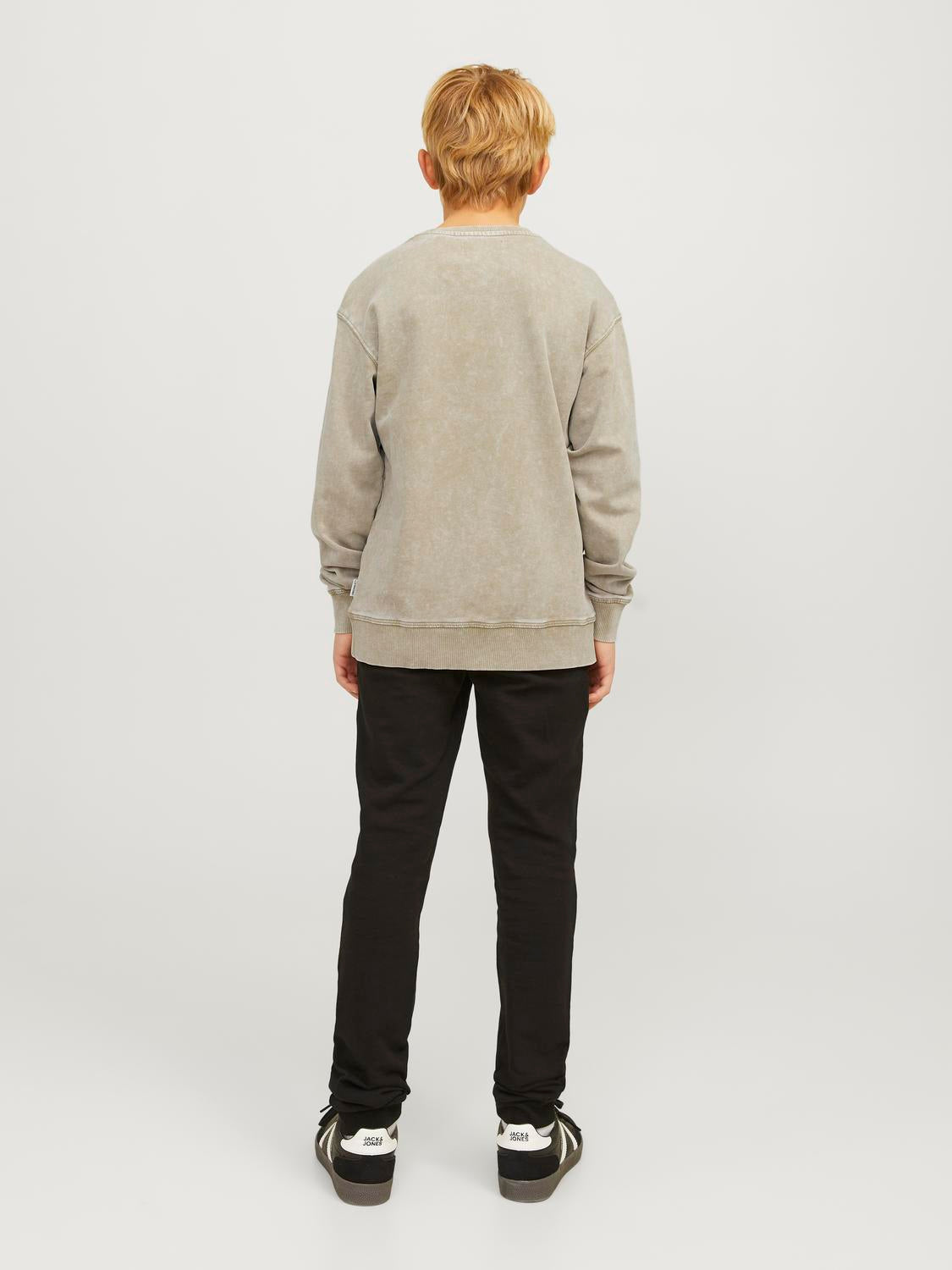 JORVESTERBRO Sweat - Silver Sage