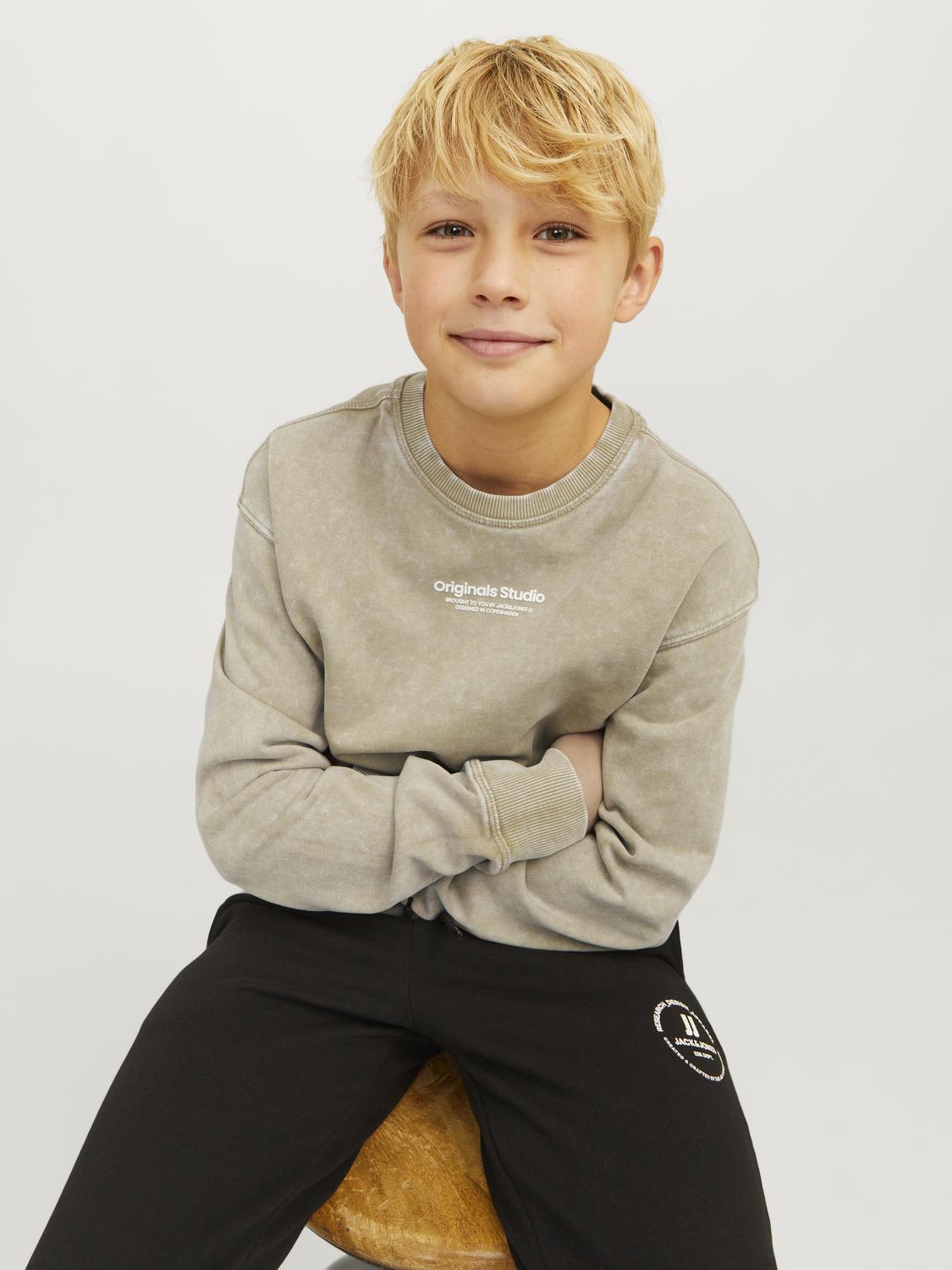 JORVESTERBRO Sweat - Silver Sage