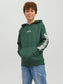 JOROLI Sweat - Trekking Green