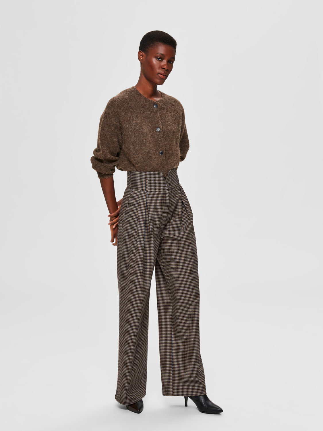 SLFLULU Cardigan - dachshund